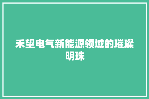 禾望电气新能源领域的璀璨明珠