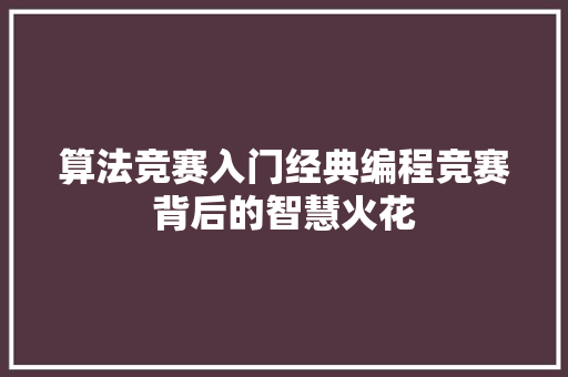 算法竞赛入门经典编程竞赛背后的智慧火花 seo技术