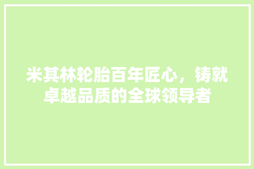 米其林轮胎百年匠心，铸就卓越品质的全球领导者 360搜优化