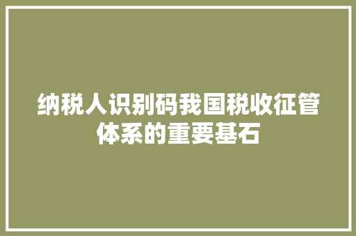 纳税人识别码我国税收征管体系的重要基石 AI技术学习