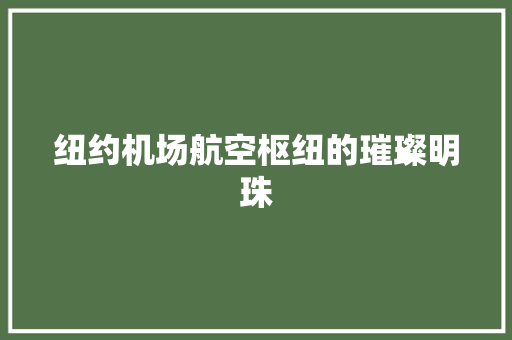 纽约机场航空枢纽的璀璨明珠