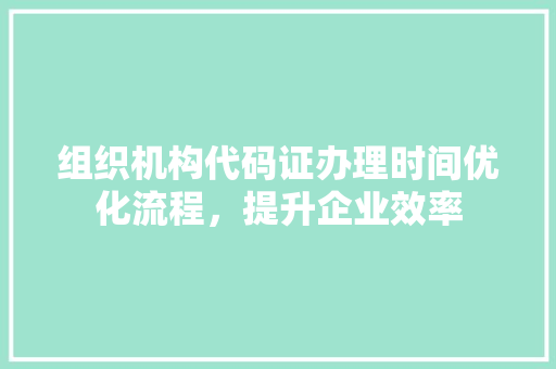 组织机构代码证办理时间优化流程，提升企业效率