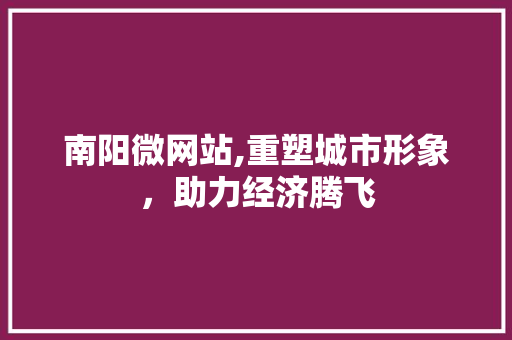 南阳微网站,重塑城市形象，助力经济腾飞