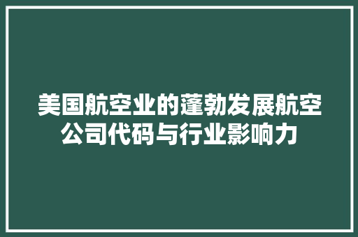 美国航空业的蓬勃发展航空公司代码与行业影响力 搜狗优化