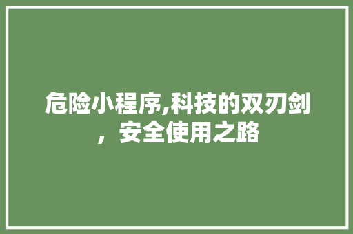 危险小程序,科技的双刃剑，安全使用之路