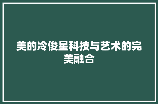 美的冷俊星科技与艺术的完美融合