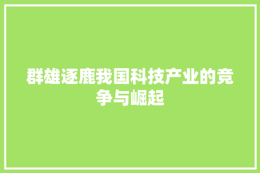 群雄逐鹿我国科技产业的竞争与崛起