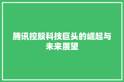 腾讯控股科技巨头的崛起与未来展望