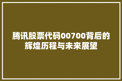 腾讯股票代码00700背后的辉煌历程与未来展望 网站优化