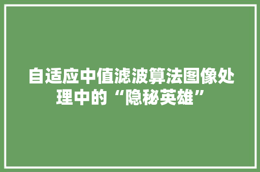 自适应中值滤波算法图像处理中的“隐秘英雄”