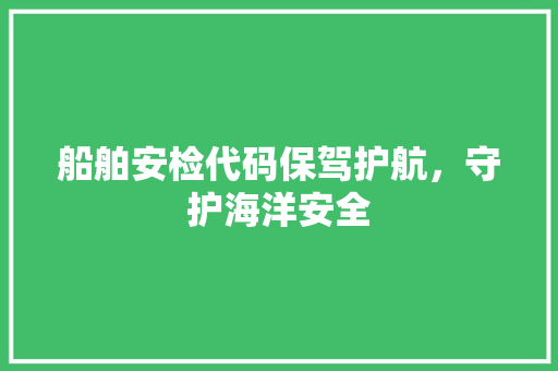船舶安检代码保驾护航，守护海洋安全