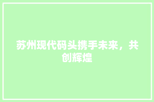 苏州现代码头携手未来，共创辉煌 头条优化