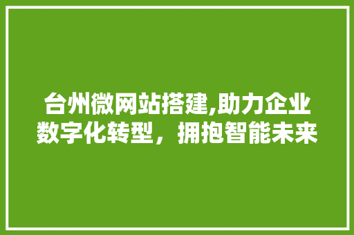 台州微网站搭建,助力企业数字化转型，拥抱智能未来