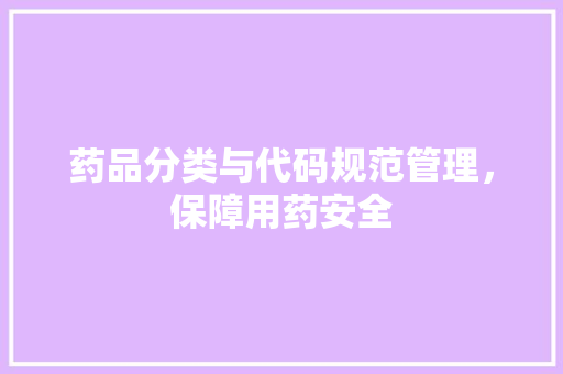 药品分类与代码规范管理，保障用药安全