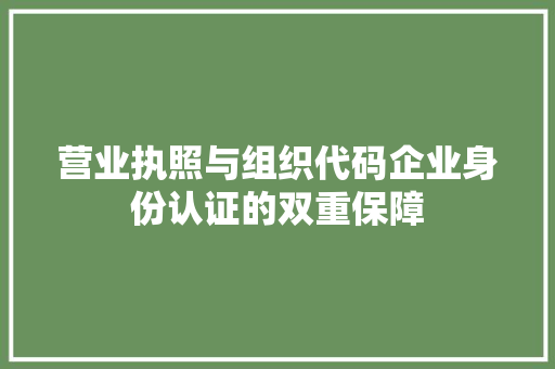 营业执照与组织代码企业身份认证的双重保障