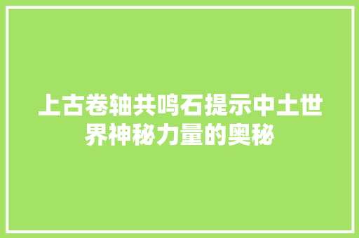 上古卷轴共鸣石提示中土世界神秘力量的奥秘
