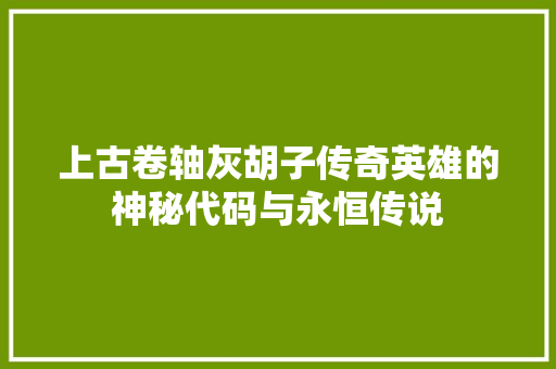 上古卷轴灰胡子传奇英雄的神秘代码与永恒传说
