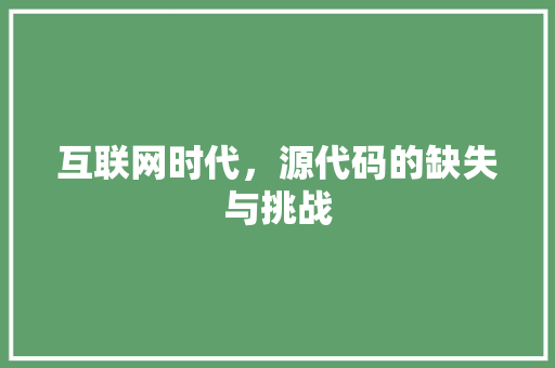 互联网时代，源代码的缺失与挑战 网站开发