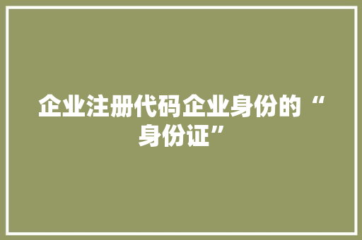 企业注册代码企业身份的“身份证”