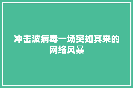 冲击波病毒一场突如其来的网络风暴