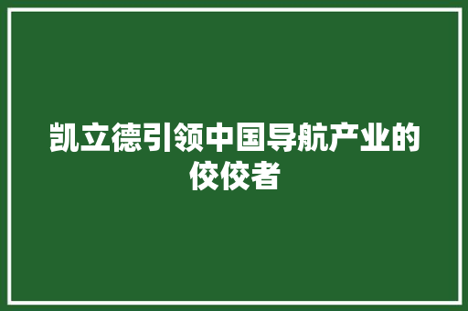 凯立德引领中国导航产业的佼佼者