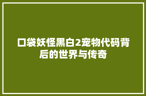 口袋妖怪黑白2宠物代码背后的世界与传奇