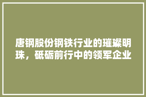唐钢股份钢铁行业的璀璨明珠，砥砺前行中的领军企业