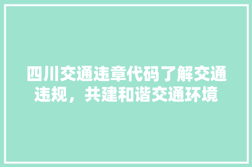 四川交通违章代码了解交通违规，共建和谐交通环境 网站开发