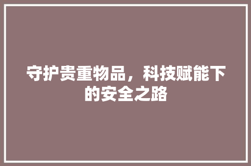守护贵重物品，科技赋能下的安全之路 AI技术学习