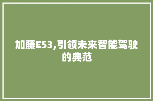 加藤E53,引领未来智能驾驶的典范 加藤E53,引领未来智能驾驶的典范 小程序开发