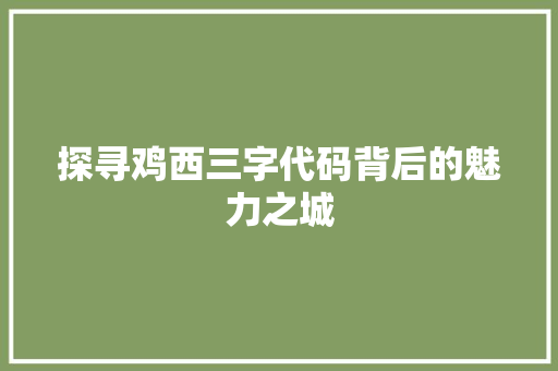 探寻鸡西三字代码背后的魅力之城 网站开发