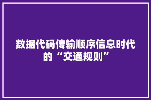 数据代码传输顺序信息时代的“交通规则”