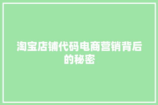 淘宝店铺代码电商营销背后的秘密