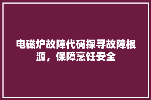 电磁炉故障代码探寻故障根源，保障烹饪安全