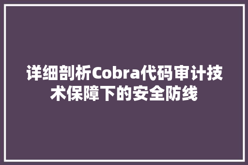 详细剖析Cobra代码审计技术保障下的安全防线