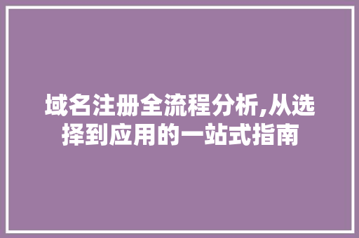 域名注册全流程分析,从选择到应用的一站式指南 域名注册全流程分析,从选择到应用的一站式指南 网站开发