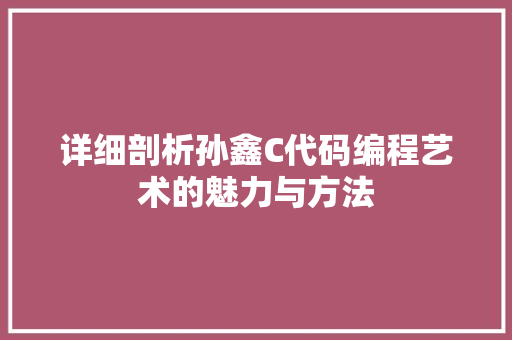 详细剖析孙鑫C代码编程艺术的魅力与方法 搜狗优化