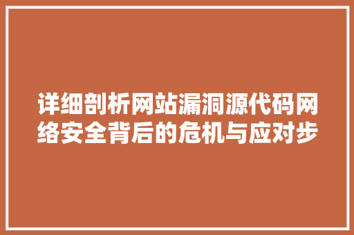 详细剖析网站漏洞源代码网络安全背后的危机与应对步骤