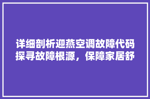 详细剖析迎燕空调故障代码探寻故障根源，保障家居舒适生活 seo技术