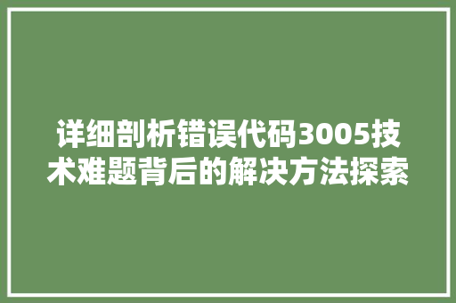 详细剖析错误代码3005技术难题背后的解决方法探索