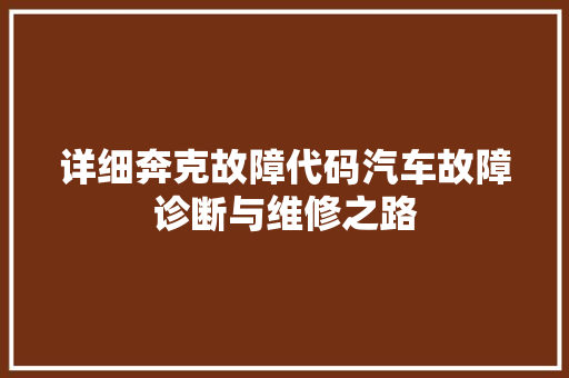 详细奔克故障代码汽车故障诊断与维修之路 AI技术学习