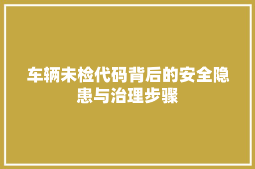 车辆未检代码背后的安全隐患与治理步骤 seo技术