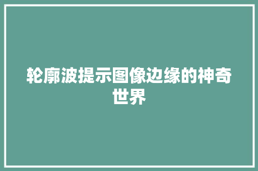轮廓波提示图像边缘的神奇世界