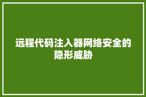 远程代码注入器网络安全的隐形威胁