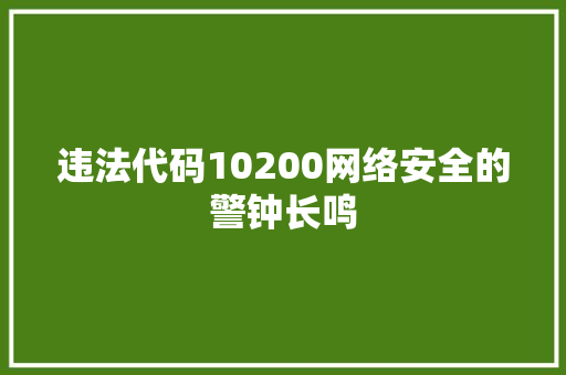 违法代码10200网络安全的警钟长鸣