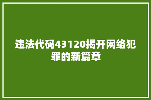 违法代码43120揭开网络犯罪的新篇章