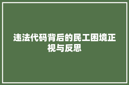 违法代码背后的民工困境正视与反思