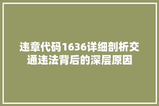 违章代码1636详细剖析交通违法背后的深层原因