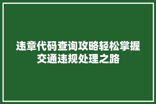 违章代码查询攻略轻松掌握交通违规处理之路 网站开发