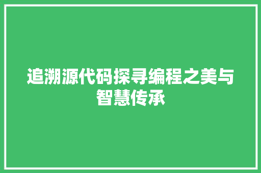 追溯源代码探寻编程之美与智慧传承 seo技术
